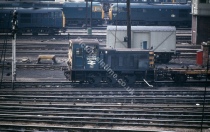 Norwich 8th April 1980