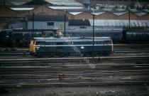 Norwich, Finsbury Park 31409 on shed 5th July 1980